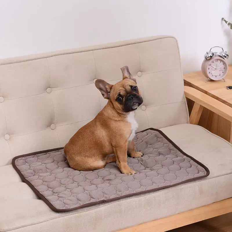 Pet Cooling Mat — Self-Cooling Pad for Dogs & Cats | Summer Relief