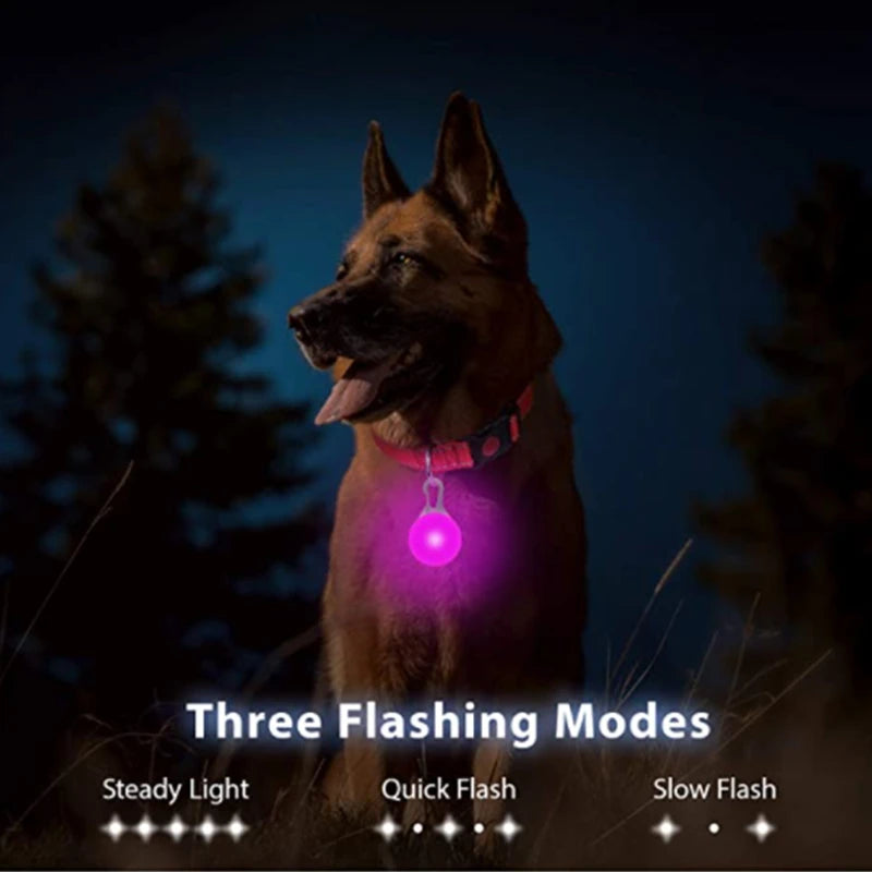LED Dog Collar — Rechargeable Light-Up Safety Collar with Pendant