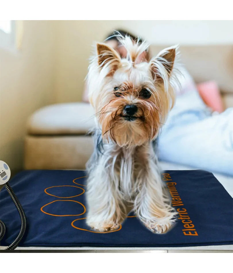 Heated Pet Bed — Washable Warm Cushion with Adjustable Temperature Control
