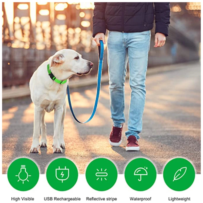 LED Dog Collar — Rechargeable Light-Up Safety Collar with Pendant