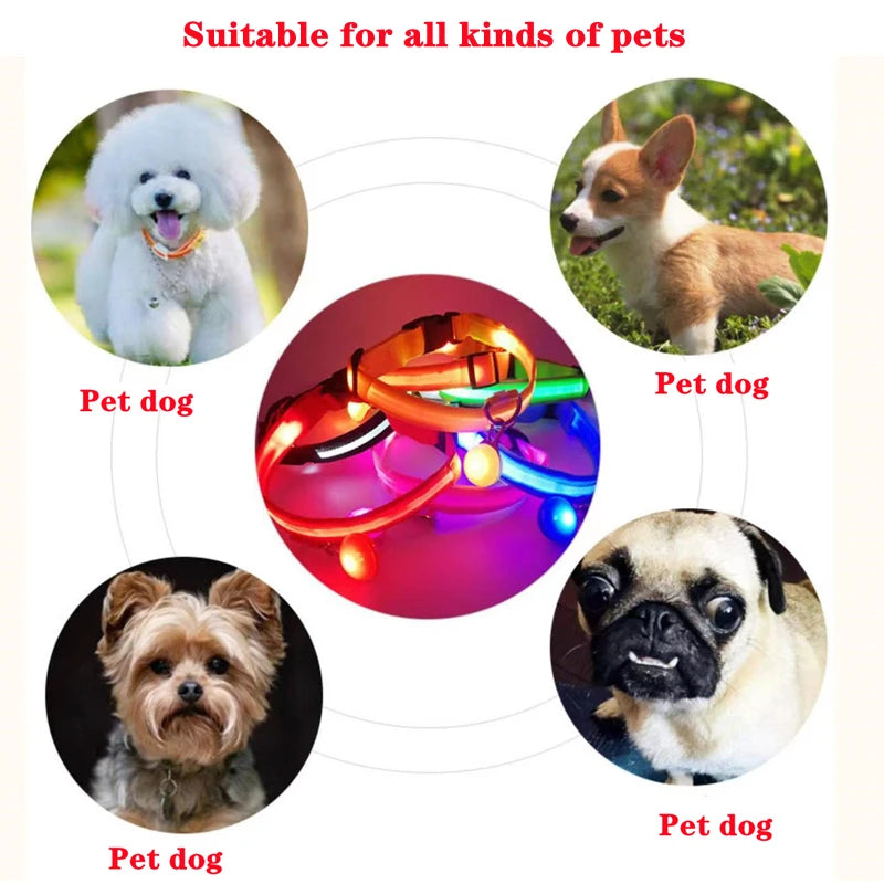 LED Dog Collar — Rechargeable Light-Up Safety Collar with Pendant