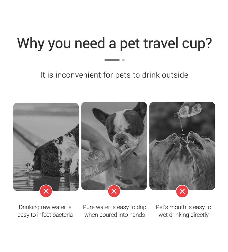 Portable Pet Water Bottle — Spill-Proof Travel Drinking Bottle for Dogs & Cats