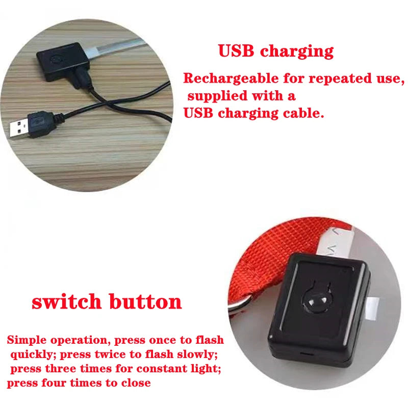 LED Dog Collar — Rechargeable Light-Up Safety Collar with Pendant