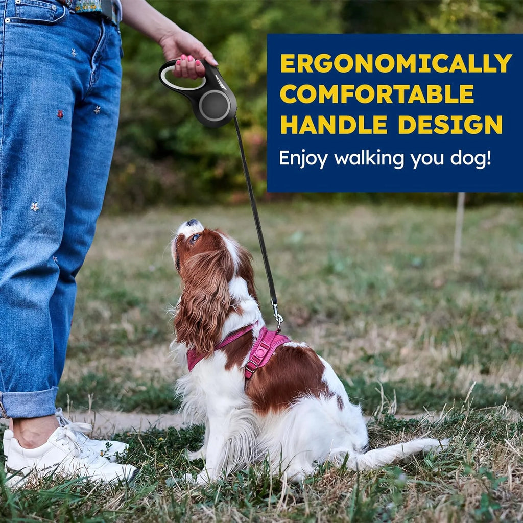 Rechargeable LED Retractable Dog Leash — Bright Light for Safe Night Walks