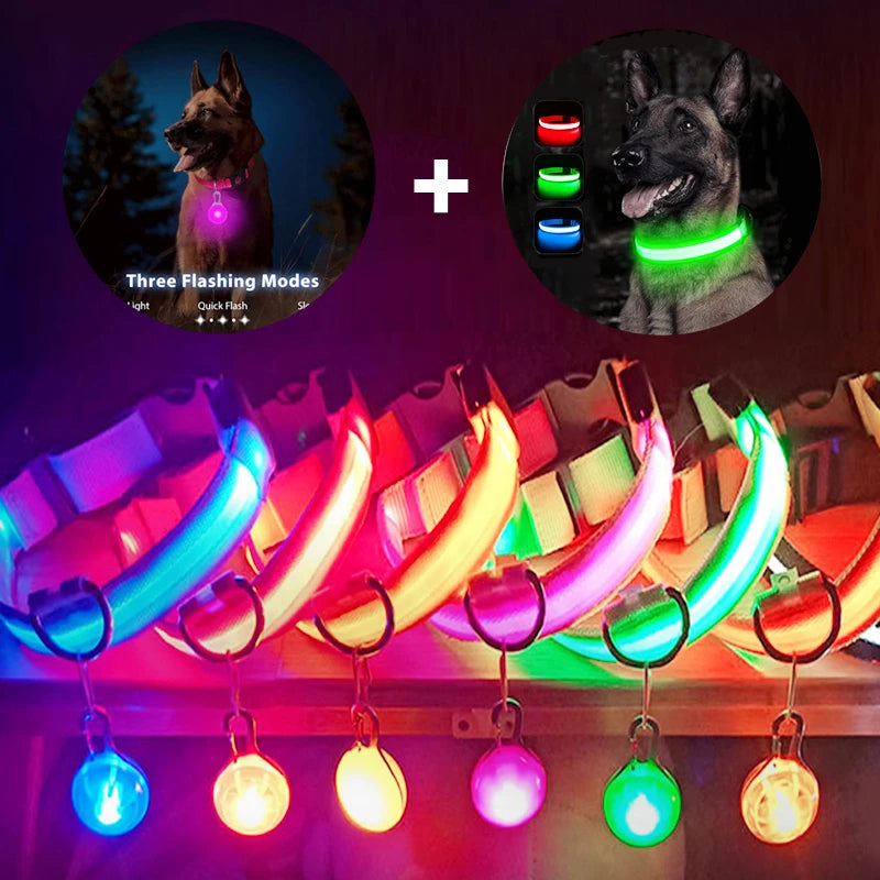 LED Dog Collar — Rechargeable Light-Up Safety Collar with Pendant