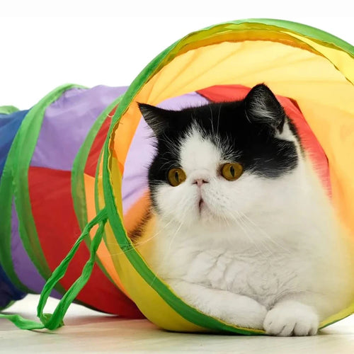 Foldable Pet Tunnel — Interactive Crinkle Play Tube for Cats, Kittens & Rabbits