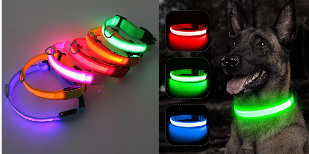 LED Dog Collar — Rechargeable Light-Up Safety Collar with Pendant