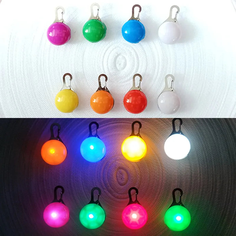 LED Dog Collar — Rechargeable Light-Up Safety Collar with Pendant