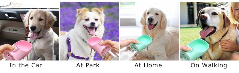 Portable Pet Water Bottle — Spill-Proof Travel Drinking Bottle for Dogs & Cats