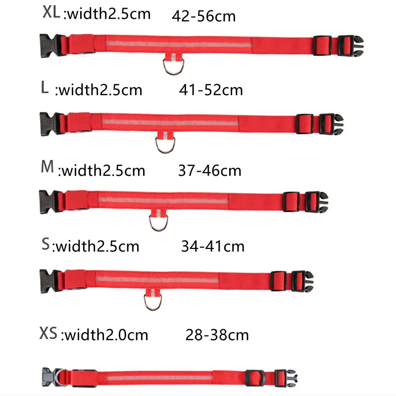 LED Dog Collar — Rechargeable Light-Up Safety Collar with Pendant