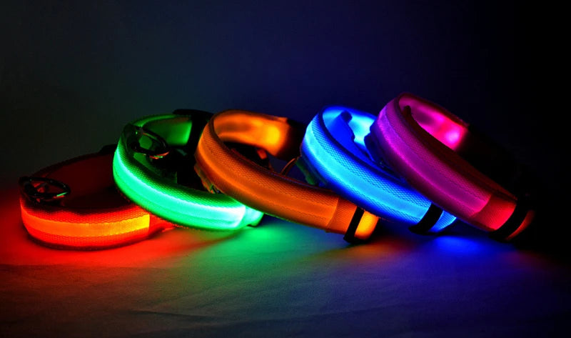 LED Dog Collar — Rechargeable Light-Up Safety Collar with Pendant