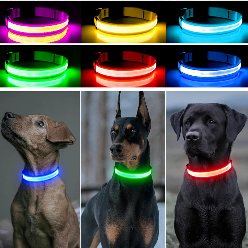 LED Dog Collar — Rechargeable Light-Up Safety Collar with Pendant