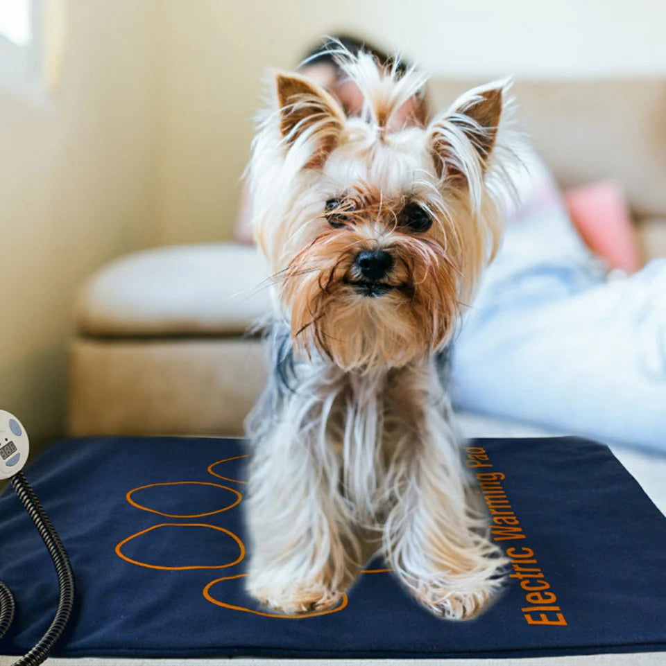 Heated Pet Bed — Washable Warm Cushion with Adjustable Temperature Control