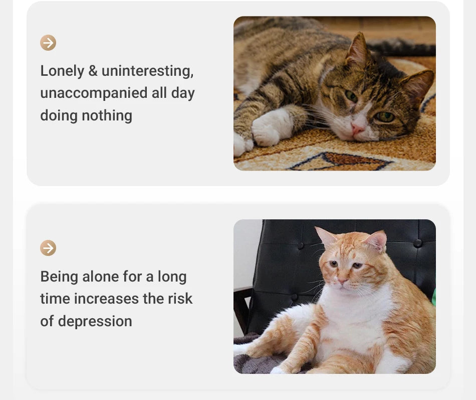 Automatic Interactive Laser Toy for Cats — Hands-Free Chase & Play