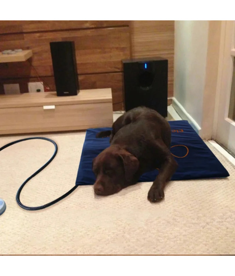 Heated Pet Bed — Washable Warm Cushion with Adjustable Temperature Control
