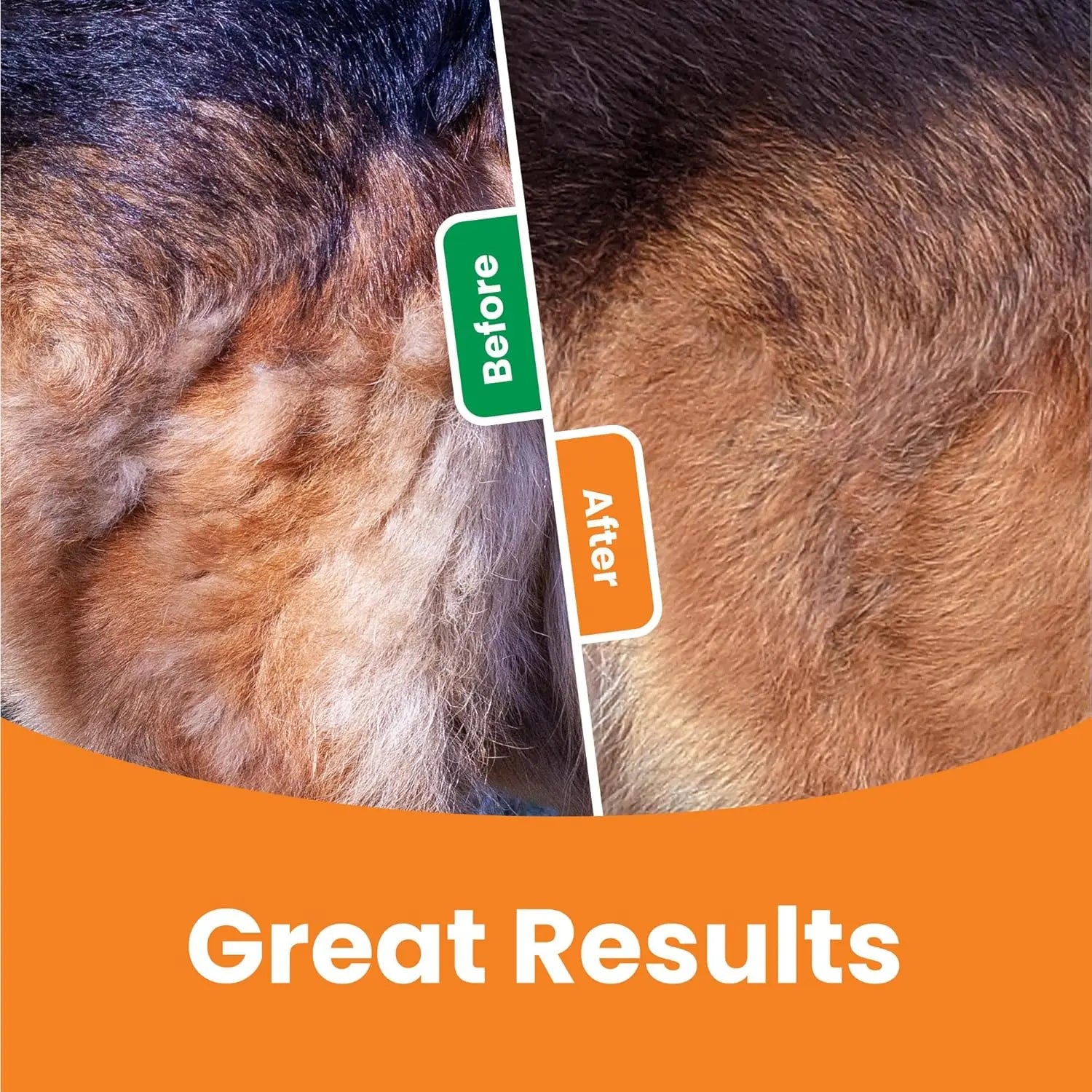 3-in-1 Pro Deshedding Brush — Self-Cleaning Pet Hair Remover & Grooming Comb for Dogs & Cats