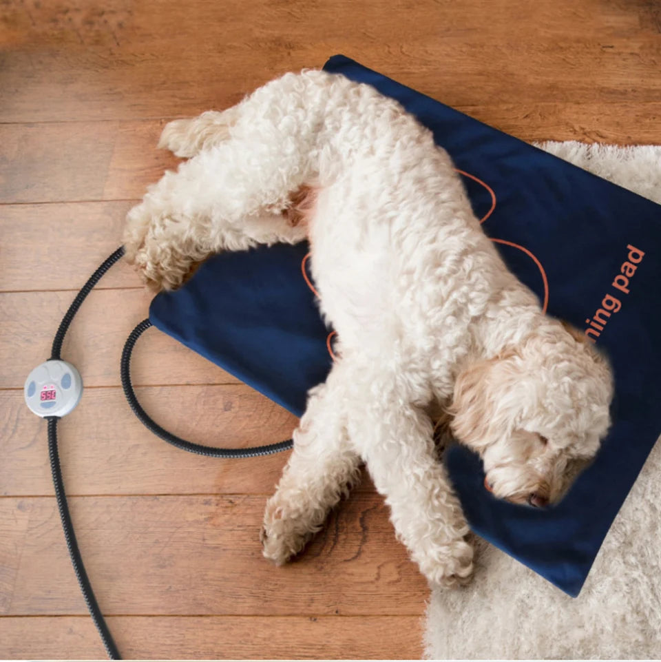 Heated Pet Bed — Washable Warm Cushion with Adjustable Temperature Control