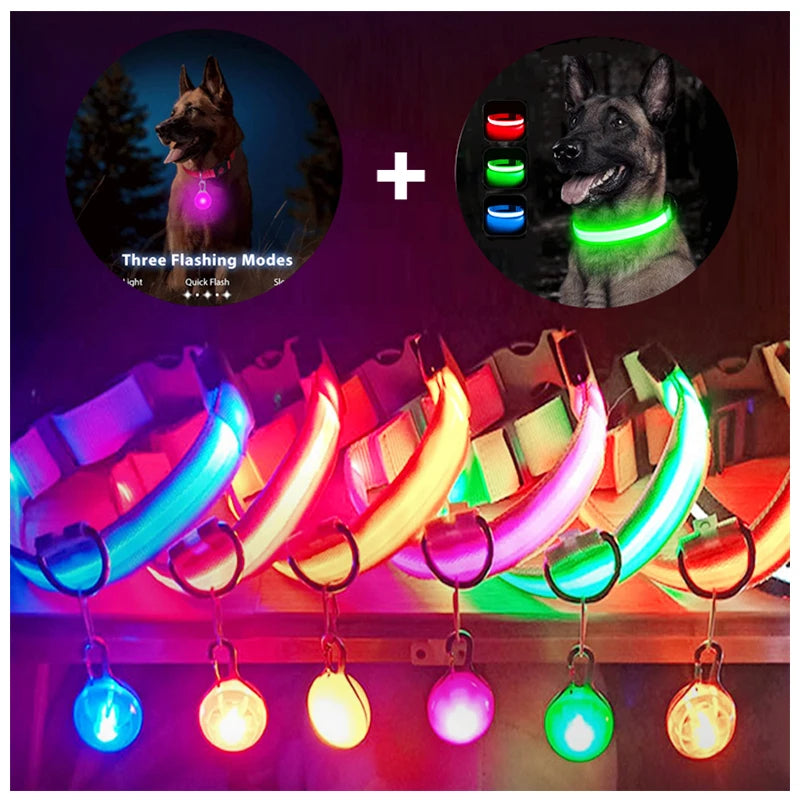 LED Dog Collar — Rechargeable Light-Up Safety Collar with Pendant
