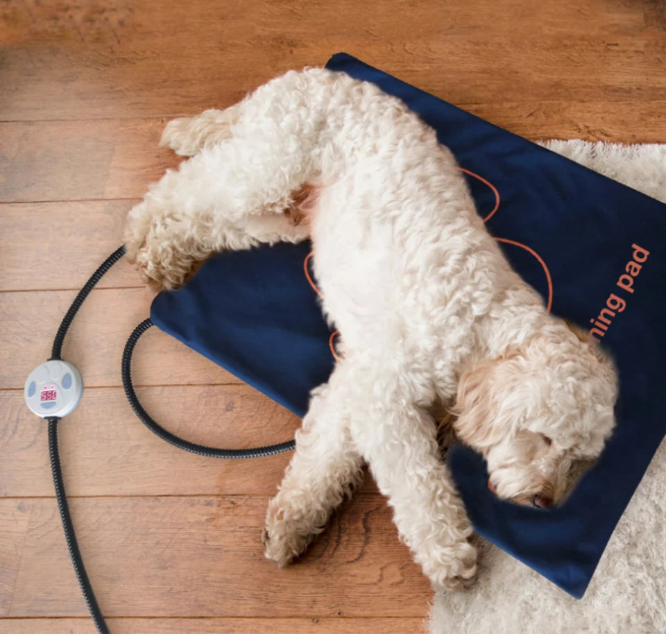 Heated Pet Bed — Washable Warm Cushion with Adjustable Temperature Control