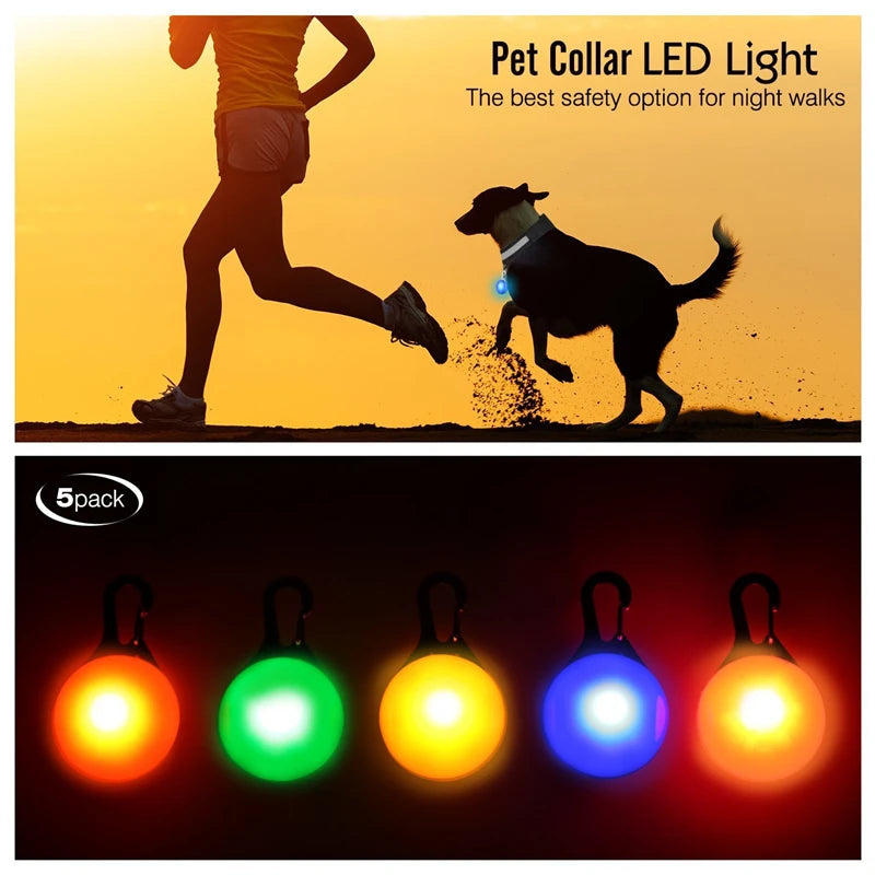 LED Dog Collar — Rechargeable Light-Up Safety Collar with Pendant