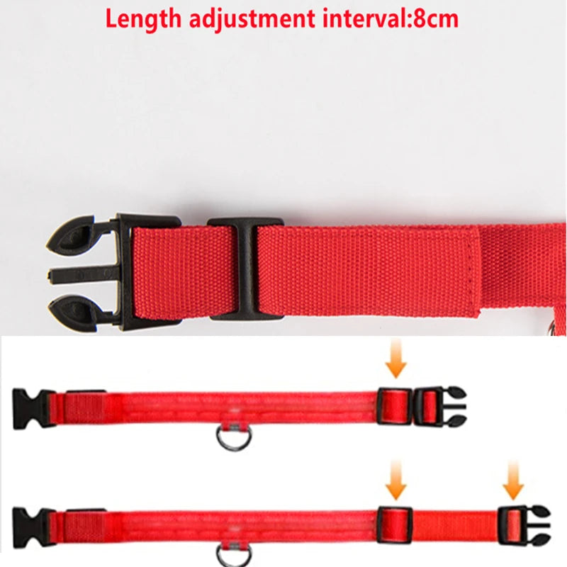 LED Dog Collar — Rechargeable Light-Up Safety Collar with Pendant