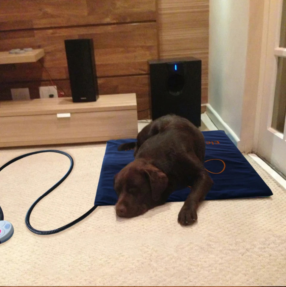 Heated Pet Bed — Washable Warm Cushion with Adjustable Temperature Control