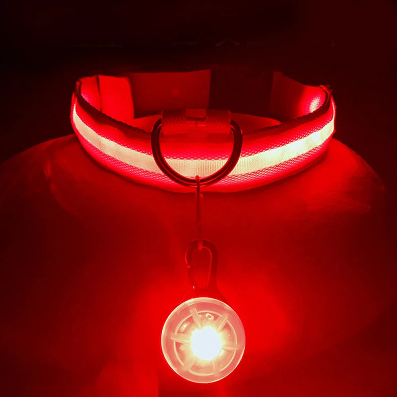 LED Dog Collar — Rechargeable Light-Up Safety Collar with Pendant