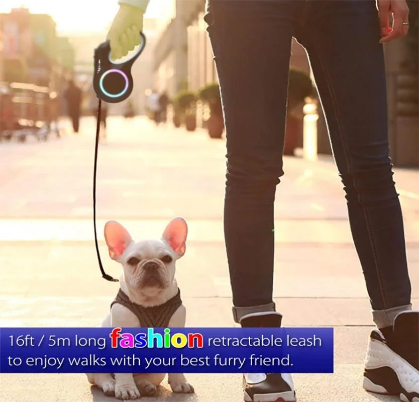 Rechargeable LED Retractable Dog Leash — Bright Light for Safe Night Walks