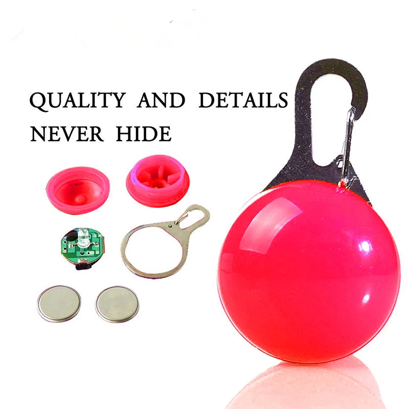 LED Dog Collar — Rechargeable Light-Up Safety Collar with Pendant