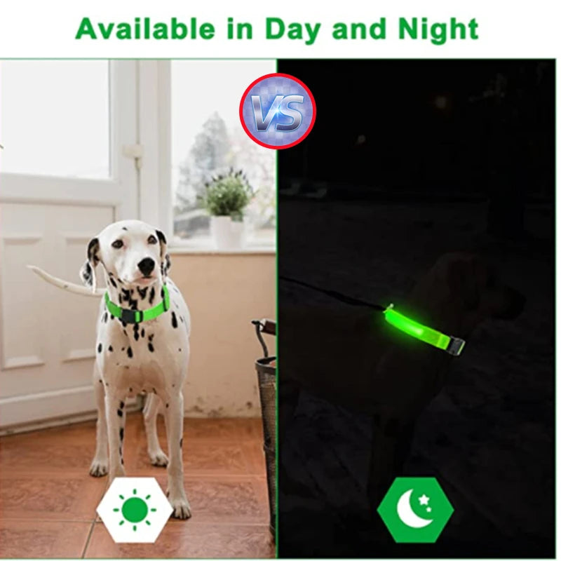 LED Dog Collar — Rechargeable Light-Up Safety Collar with Pendant