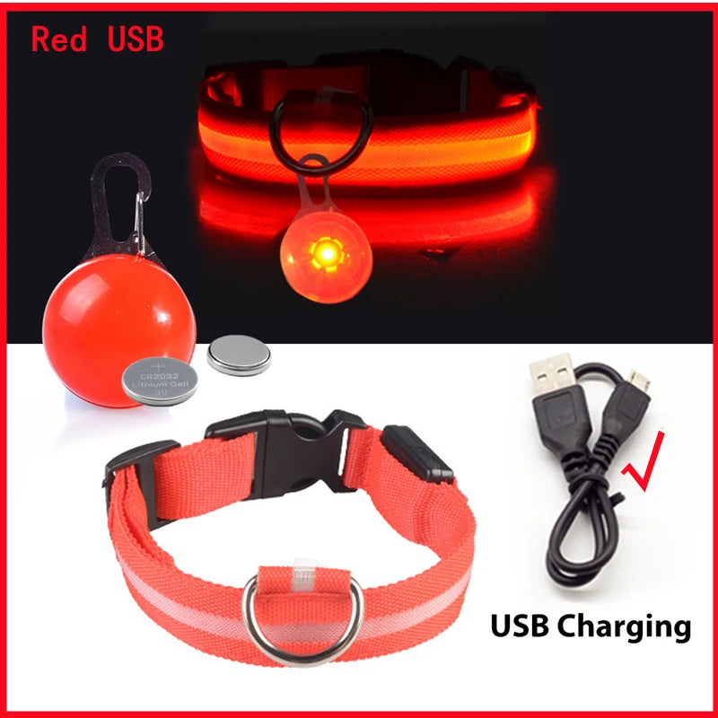 LED Dog Collar — Rechargeable Light-Up Safety Collar with Pendant