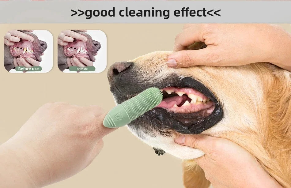 Pet Dental Care Kit — Soft Silicone Finger & Dual-Head Toothbrush for Dogs & Cats