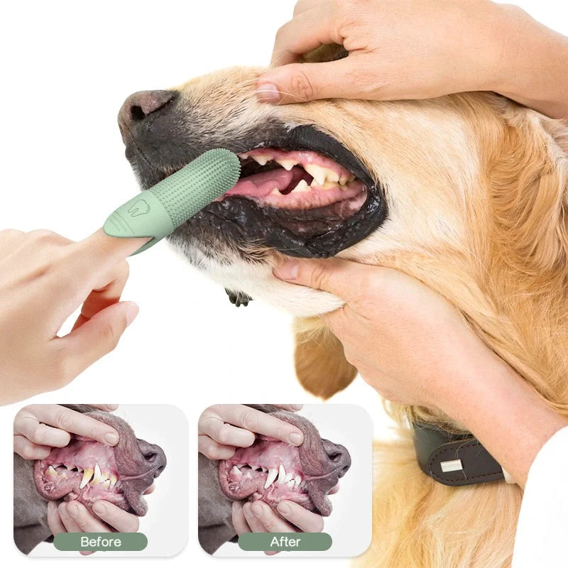 Pet Dental Care Kit — Soft Silicone Finger & Dual-Head Toothbrush for Dogs & Cats